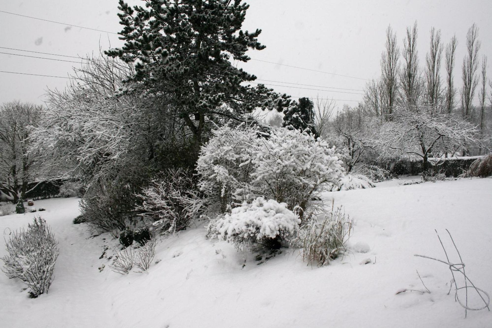 B&B Le Jardin D'Epicure Olne Esterno foto