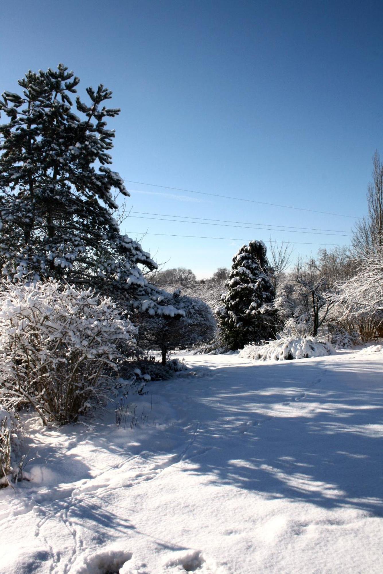 B&B Le Jardin D'Epicure Olne Esterno foto